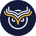 Wise Token logo