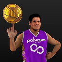 Polywolf logo