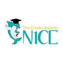 N1CE logo