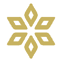 Spores Network logo
