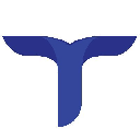 Tianyu Finance logo