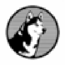 Husky Avax logo