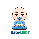 BabyUSDT logo