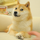 The Doge NFT logo