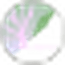 Cabbage logo