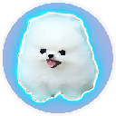 Mini Kishu logo