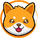 Doge Floki Coin logo