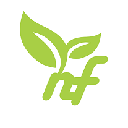NerveFlux logo