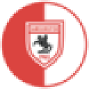 Samsunspor Fan Token logo