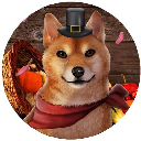 DogeGiving logo