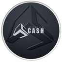 SpeedCash logo