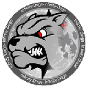 Infinity Doge logo