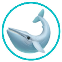 Whale Loans logo