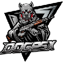 DOGE SPACEX logo