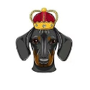 DogeKing logo