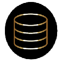 Raider Token logo