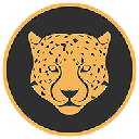Kitty Kat Coin logo