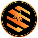 BUSDX Fuel logo