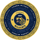 İstanbul Wild Cats Fan Token logo