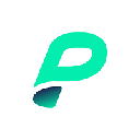 Page Network logo