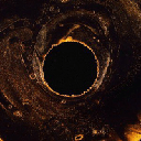 Teh Golden One logo