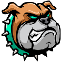 BullDoge Chain logo