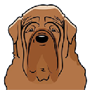 Dosa logo