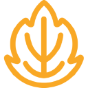 Autumn logo