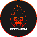 FitBurn logo
