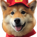 McFLOKI logo