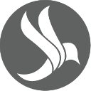 Aves logo