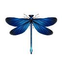Dragon Fly logo
