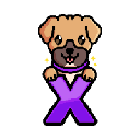 XENDoge logo