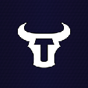 Torochain logo