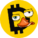 Duckies, the canary network for Yellow logo