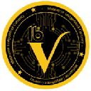 LBViVi logo