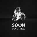 Soon Coin logo