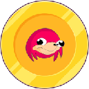 DEWAE logo