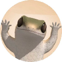 Dancing Lizard Coin logo