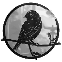 KokanKano logo