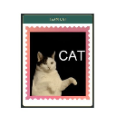 Team Cat logo