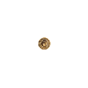 Camly Coin logo