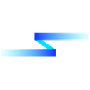 Silent Notary logo