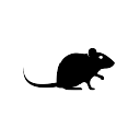 Rat Roulette logo