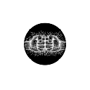 PVPTrading logo