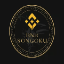 BNBsongoku logo