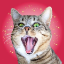 CRAZY CAT logo