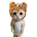 CATWIFHAT logo