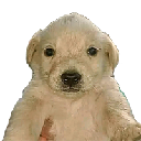 Perro Dinero logo