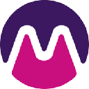 Florence Finance Medici logo